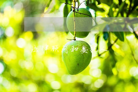 法律顾问和委托人 法律顾问和委托人