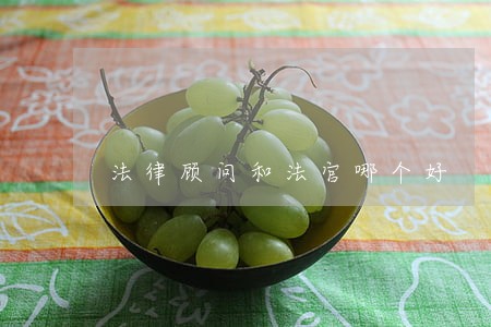 法律顾问和法官哪个好 法律顾问和法官哪个好