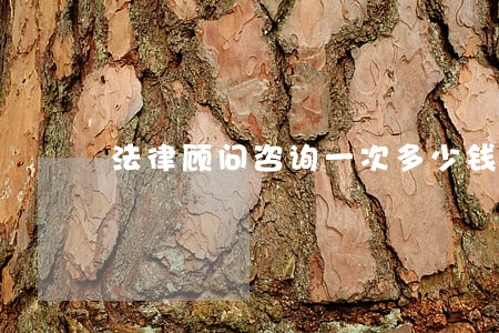 法律顾问咨询一次多少钱 法律顾问咨询一次多少钱