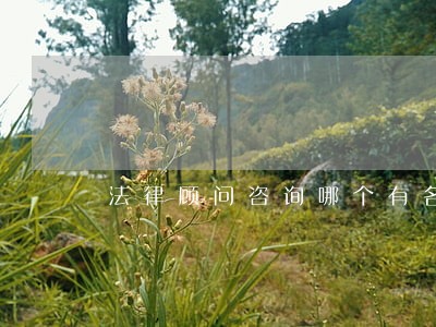 法律顾问咨询哪个有名 法律顾问咨询哪个有名