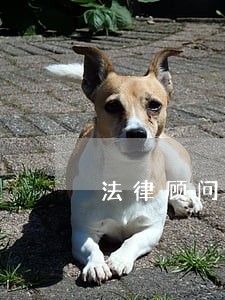 法律顾问咨询服务包含 法律顾问咨询服务包含