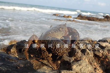 法律顾问咨询服务协议 法律顾问咨询服务协议