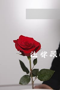 法律顾问哪个好一些 法律顾问哪个好一些