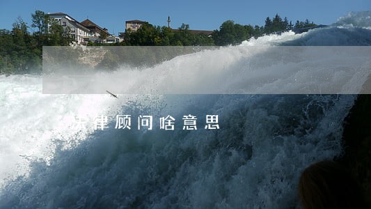 法律顾问啥意思 法律顾问啥意思