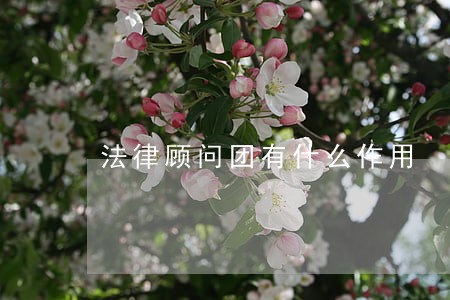 法律顾问团有什么作用 法律顾问团有什么作用