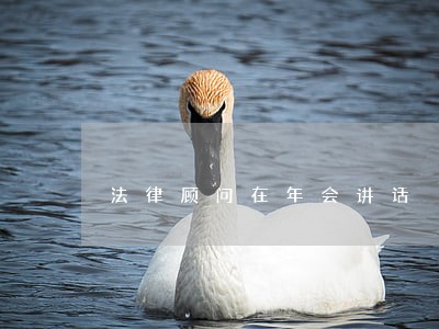 法律顾问在年会讲话 法律顾问在年会讲话