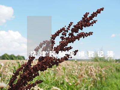 法律顾问坐班登记簿 法律顾问坐班登记簿