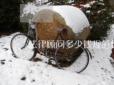 法律顾问多少钱规范化 法律顾问多少钱规范化