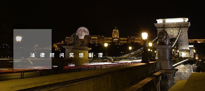 法律顾问奖惩制度 法律顾问奖惩制度
