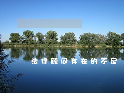 法律顾问存在的不足 法律顾问存在的不足