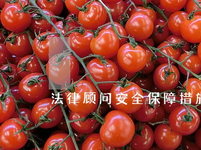 法律顾问安全保障措施 法律顾问安全保障措施