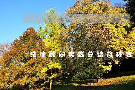 法律顾问实践总结及体会 法律顾问实践总结及体会