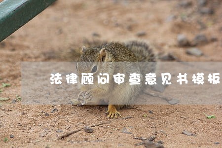 法律顾问审查意见书模板 法律顾问审查意见书模板