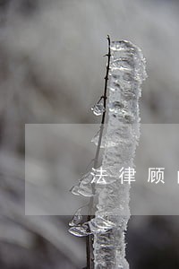 法律顾问审查程序 法律顾问审查程序