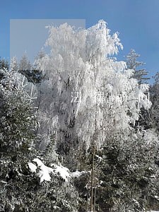 法律顾问审核合同意见书 法律顾问审核合同意见书