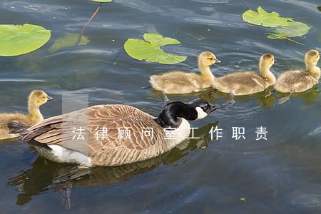 法律顾问室工作职责 法律顾问室工作职责