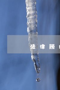 法律顾问对公司风险把控 法律顾问对公司风险把控