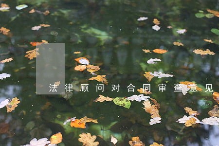 法律顾问对合同审查意见 法律顾问对合同审查意见