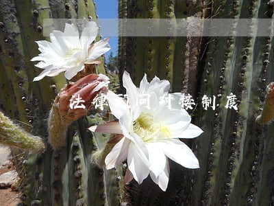 法律顾问对接制度 法律顾问对接制度
