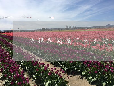 法律顾问属于什么行业 法律顾问属于什么行业