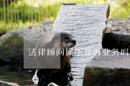 法律顾问属于非诉业务吗 法律顾问属于非诉业务吗