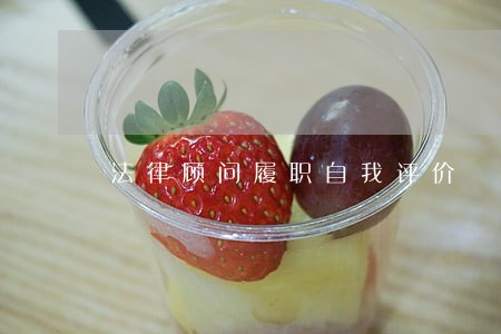 法律顾问履职自我评价 法律顾问履职自我评价
