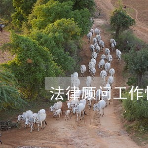 法律顾问工作情况登记表 法律顾问工作情况登记表