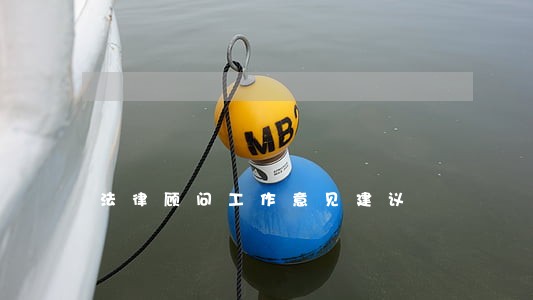法律顾问工作意见建议 法律顾问工作意见建议