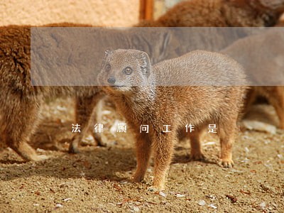 法律顾问工作是
