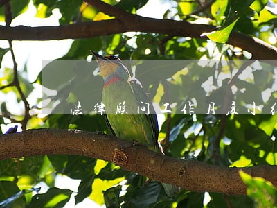 法律顾问工作月度小结