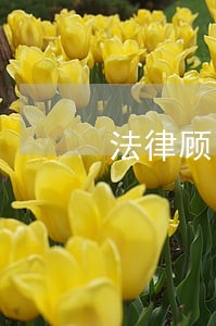 法律顾问工作机制工信 法律顾问工作机制工信