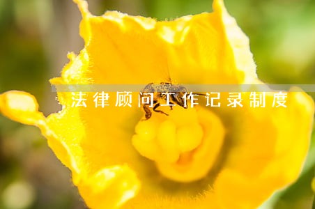 法律顾问工作记录制度 法律顾问工作记录制度