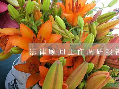 法律顾问工作调研报告