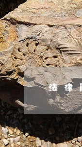 法律顾问年度个人工作总结 法律顾问年度个人工作总结