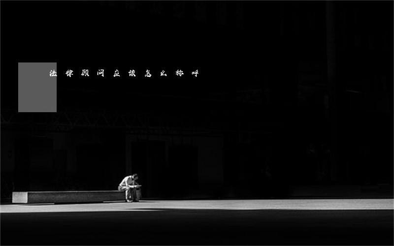 法律顾问应该怎么称呼 法律顾问应该怎么称呼