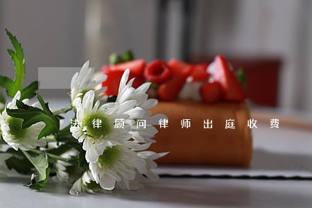 法律顾问律师出庭收费 法律顾问律师出庭收费