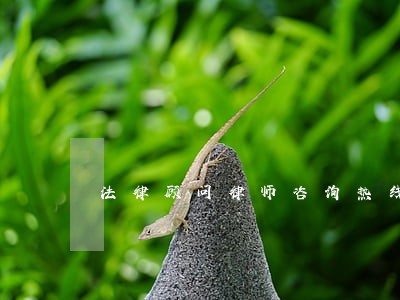 法律顾问律师咨询热线电话 法律顾问律师咨询热线电话
