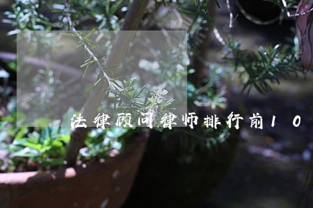 法律顾问律师排行前10 法律顾问律师排行前10