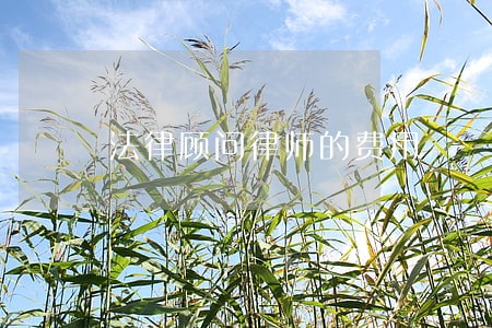 法律顾问律师的费用 法律顾问律师的费用