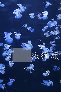 法律顾问律所要提多少
