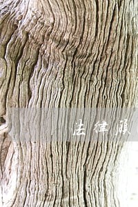 法律顾问必须收费吗 法律顾问必须收费吗
