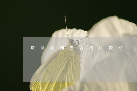 法律顾问怎么找比较好 法律顾问怎么找比较好