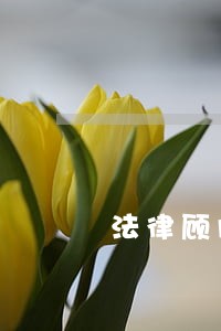 法律顾问怎么称呼对方 法律顾问怎么称呼对方