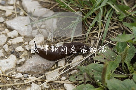 法律顾问总结的话 法律顾问总结的话