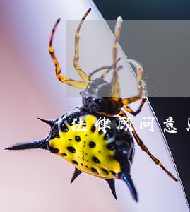 法律顾问意见书格式 法律顾问意见书格式