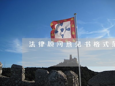 法律顾问意见书格式范本 法律顾问意见书格式范本