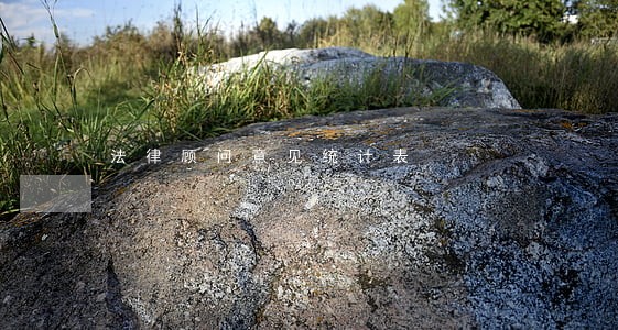 法律顾问意见统计表 法律顾问意见统计表
