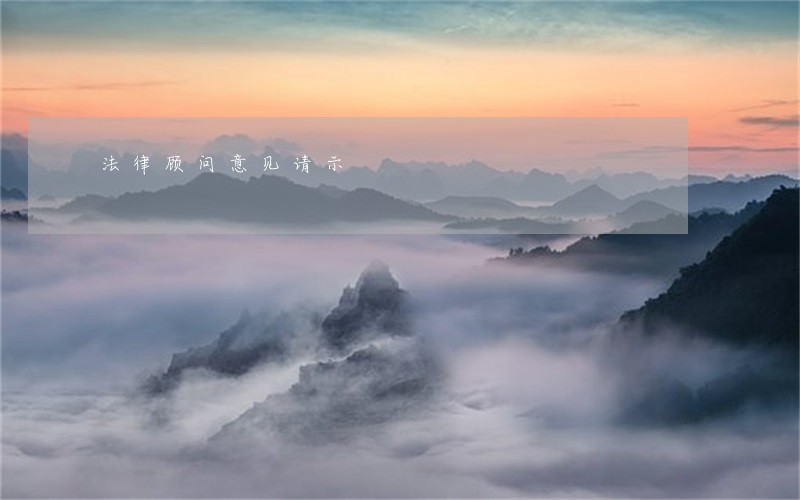 法律顾问意见请示