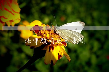 法律顾问成交案例 法律顾问成交案例