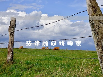 法律顾问找哪家 法律顾问找哪家